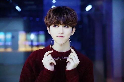 娱乐吃瓜君刘宇宁,娱乐吃瓜界的风云人物 第3张 娱乐吃瓜君刘宇宁,娱乐吃瓜界的风云人物 第3张