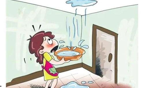 楼上漏水新闻爆料,紧急排查修复刻不容缓 第3张 楼上漏水新闻爆料,紧急排查修复刻不容缓 第3张